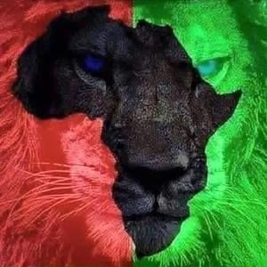 Meet your Posher, Johnny